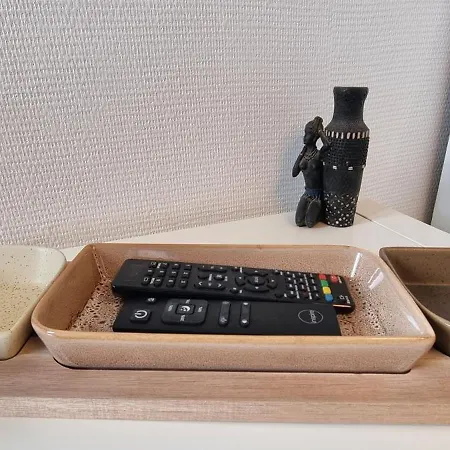 Apartment T2 Centre Renove 35 M2 Comfort !