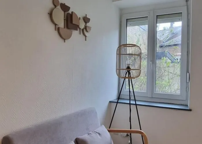 Iris Centre-Ville T2 Renove Cocon Cosy Parking 35 M2 Apartment *